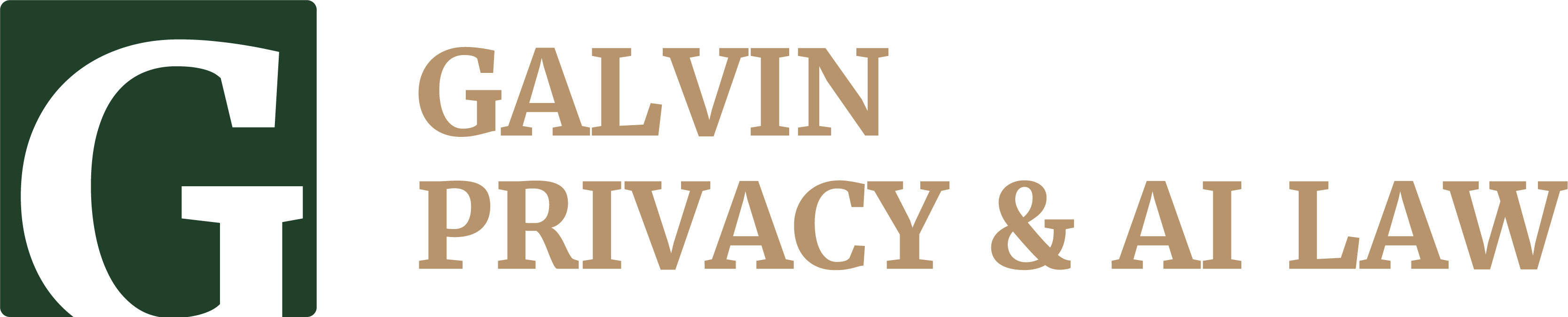 Galvin Privacy & AI Law PC